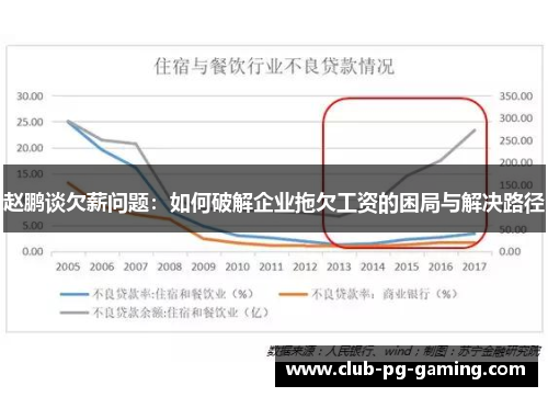 赵鹏谈欠薪问题：如何破解企业拖欠工资的困局与解决路径